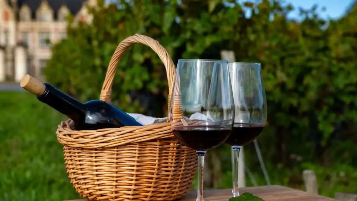 Peisaj din circuitul Circuit Bordeaux - Pe Drumul Somelierilor, plecare din Iasi